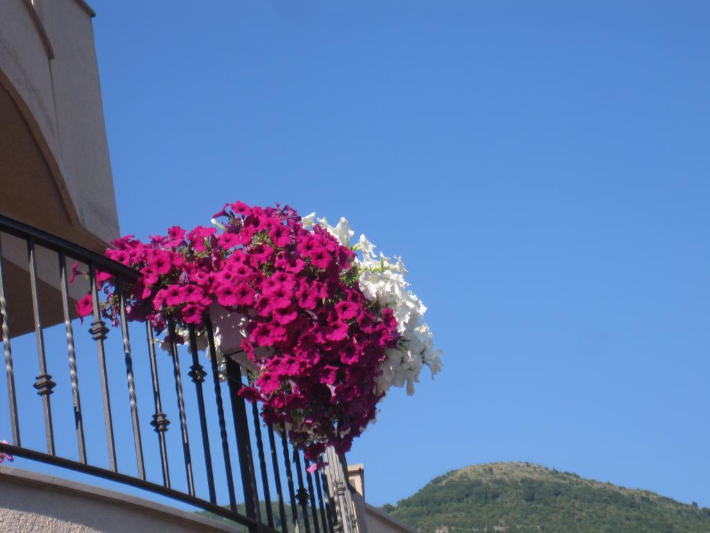 Apartments City Center Tivat Buitenkant foto